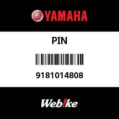 PIN 9181014808