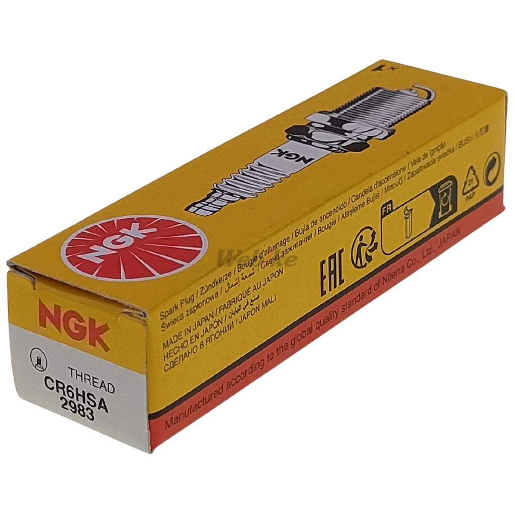 Standart Fiş CR6HSA 2983